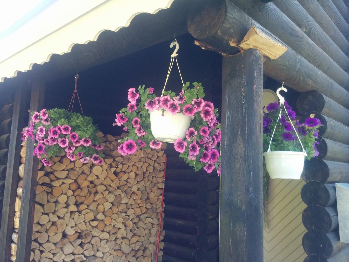 בית הארחה Otepää 	Safari House מראה חיצוני תמונה